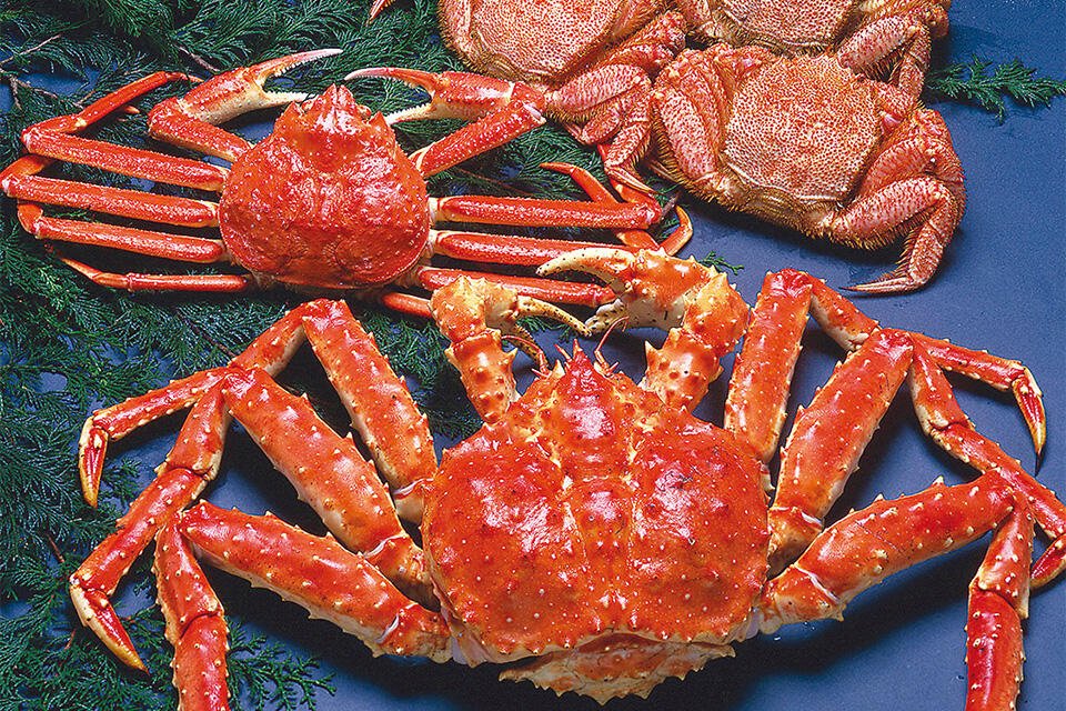 札幌かに本家 栄中央店