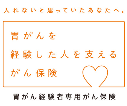 MICIN（マイシン）少額短期保険